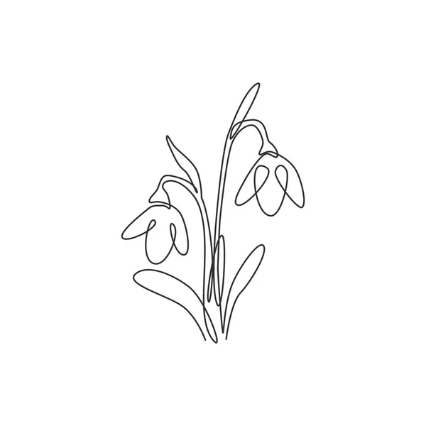 One Single Line Drawing Beauty Fresh Galanthus Home Decor Wall — Stock Vector