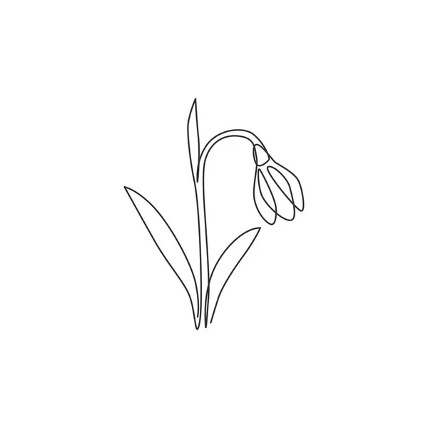 Una Línea Continua Dibujo Belleza Galanthus Fresco Para Decoración Pared — Archivo Imágenes Vectoriales