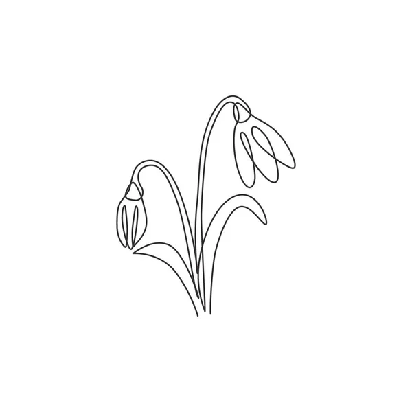 Linha Única Contínua Desenho Beleza Fresco Galanthus Logotipo Jardim Conceito — Vetor de Stock