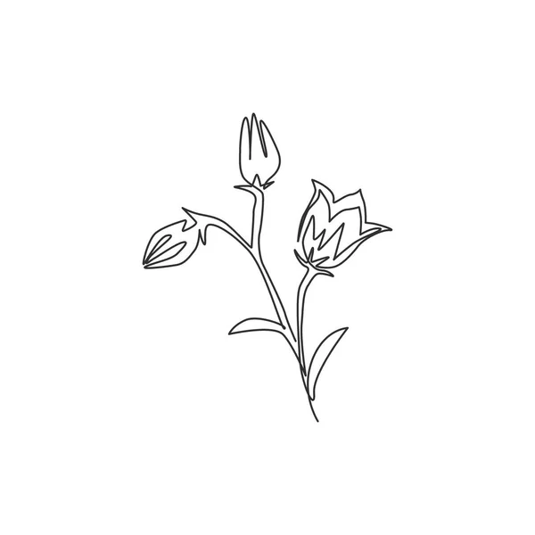 Planta Perenne Fresca Belleza Dibujo Línea Continua Única Para Impresión — Vector de stock