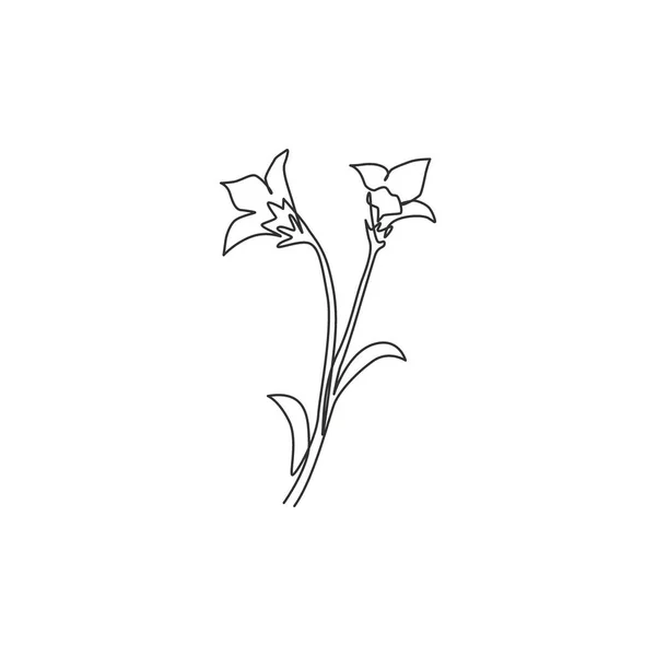 Une Seule Ligne Dessin Beauté Fraîche Bulbeuse Plante Vivace Pour — Image vectorielle