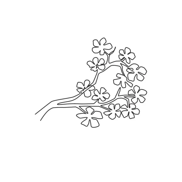 One Continuous Line Drawing Beauty Fresh Cherry Blossom Garden Logo — Stock Vector