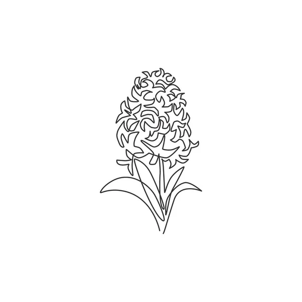 Enda Linje Ritning Skönhet Färsk Hyacinthus För Trädgård Logotyp Tryckbar — Stock vektor