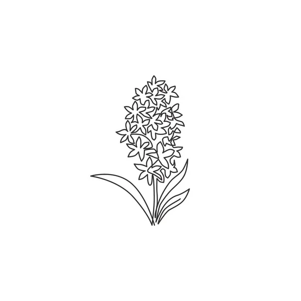Jedna Souvislá Čára Kresby Krásy Svěží Hyacinthus Pro Domácí Stěny — Stockový vektor