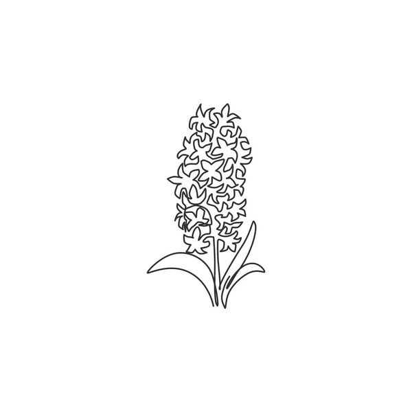 Única Linha Contínua Desenho Beleza Hyacinthus Fresco Para Casa Decoração —  Vetores de Stock