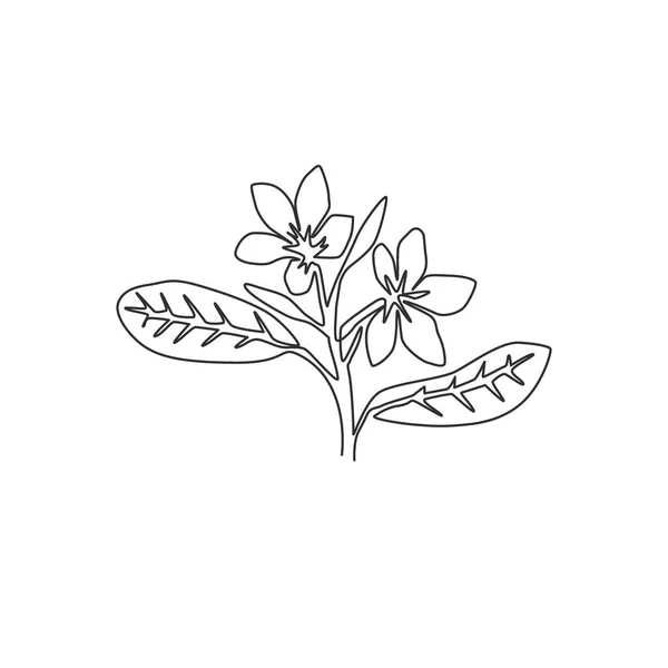 Una Línea Continua Dibujo Belleza Plumeria Fresco Para Pared Decoración — Vector de stock