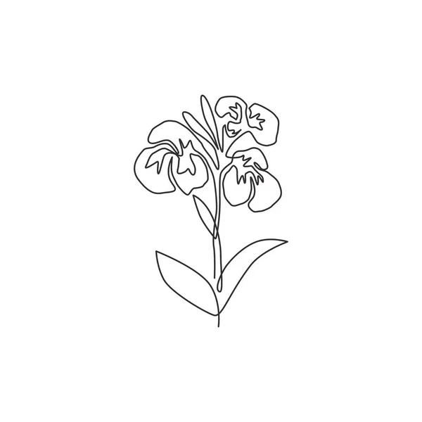 Eine Durchgehende Linie Zeichnet Schönheit Frische Canna Für Garten Logo — Stockvektor