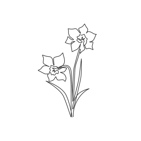 庭のロゴのための美しさの新鮮なナルシシズムの一本の線画 結婚式の招待状カードのための印刷可能な装飾的な水仙の花の概念 トレンディーな連続線描画ベクトルイラスト — ストックベクタ