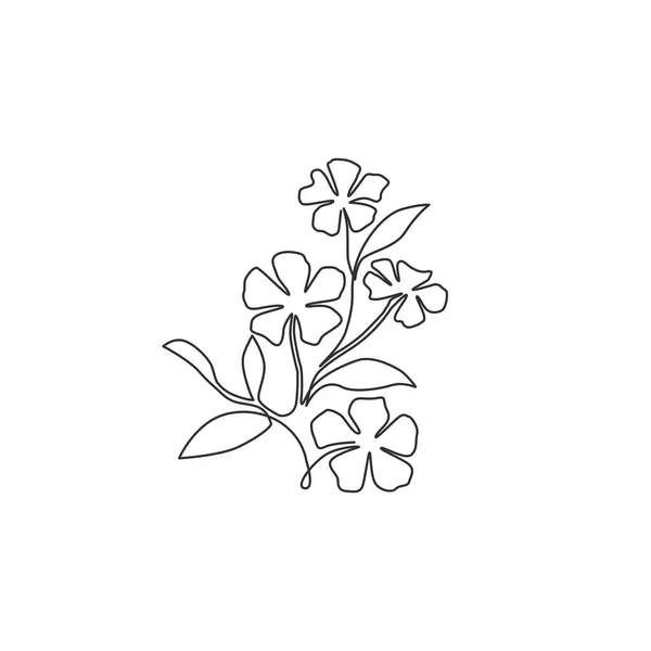 Único Desenho Uma Linha Beleza Fresco Catharanthus Para Logotipo Jardim —  Vetores de Stock
