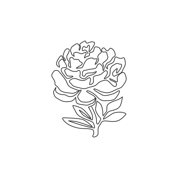 Einzelne Durchgehende Linienzeichnung Der Schönheit Frische Paeony Für Garten Logo — Stockvektor