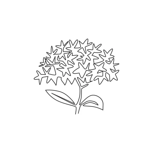 Enda Kontinuerlig Linje Teckning Skönhet Färsk Blomma Växt För Heminredning — Stock vektor
