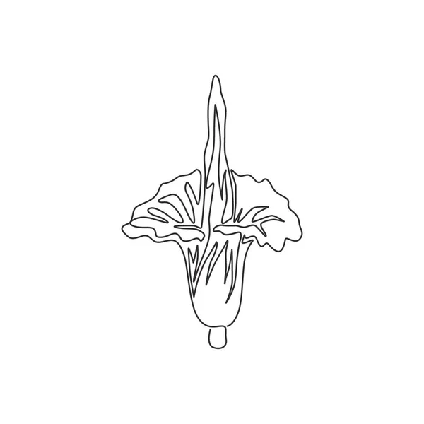 Kontinuerlig Linje Teckning Skönhet Färsk Amorphophallus Titanum För Hem Vägg — Stock vektor