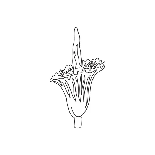 Jedna Čára Kreslení Krásy Čerstvé Amorphophallus Titanum Pro Domácí Stěnu — Stockový vektor