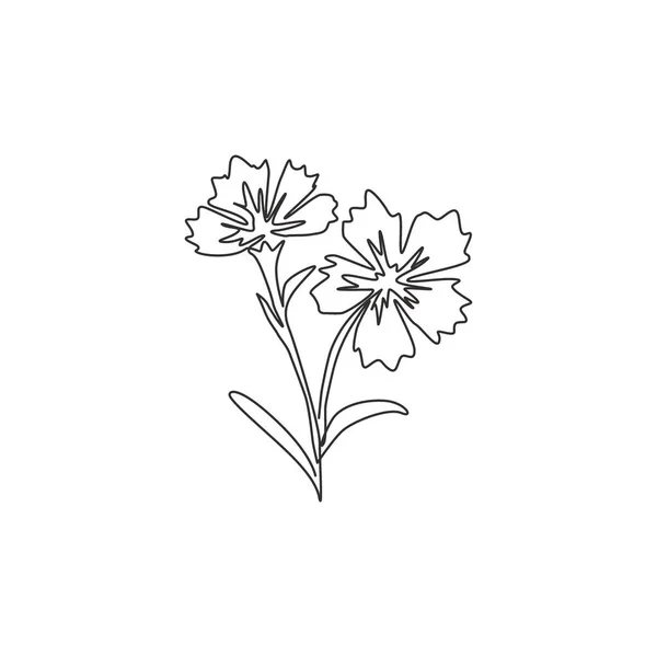 Único Desenho Uma Linha Beleza Dianthus Fresco Para Impressão Cartaz — Vetor de Stock