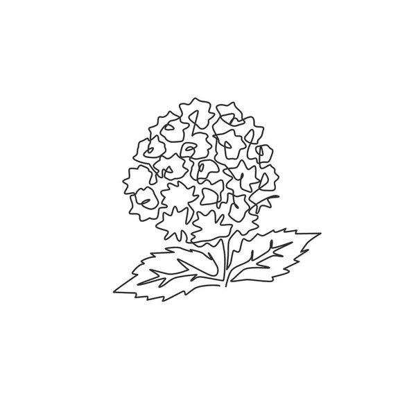 单幅连续线条画的美丽新鲜的兰花作为花园的标志 装饰灌木马鞭草花的概念为家墙装饰艺术招贴画 趋势单行绘图设计矢量插图 — 图库矢量图片