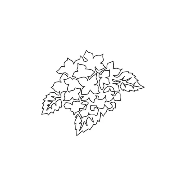 Μια Συνεχής Γραμμή Που Σχεδιάζει Ομορφιά Φρέσκια Lantana Για Σπίτι — Διανυσματικό Αρχείο