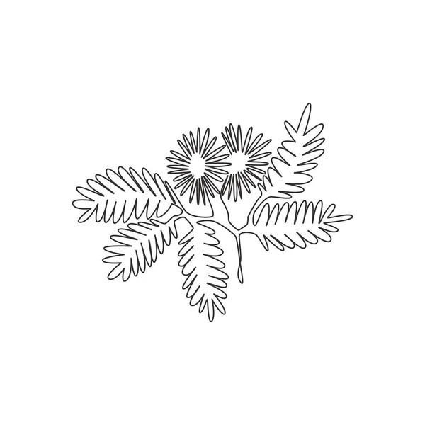 庭のロゴのための美しさ新鮮なミモザの水玉の一本の線画 ホームウォール装飾アートポスタープリントのためのアクションプラントコンセプトの装飾 現代の連続線画ベクトル図 — ストックベクタ
