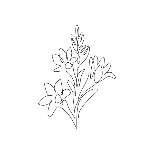 ガーデンロゴのための美しさ新鮮なアガベアメリカのシングルライン図面 ホームアートの壁の装飾ポスタープリントのための装飾的な塊茎の花のコンセプト 現代の連続線画ベクトル図 — ストックベクタ