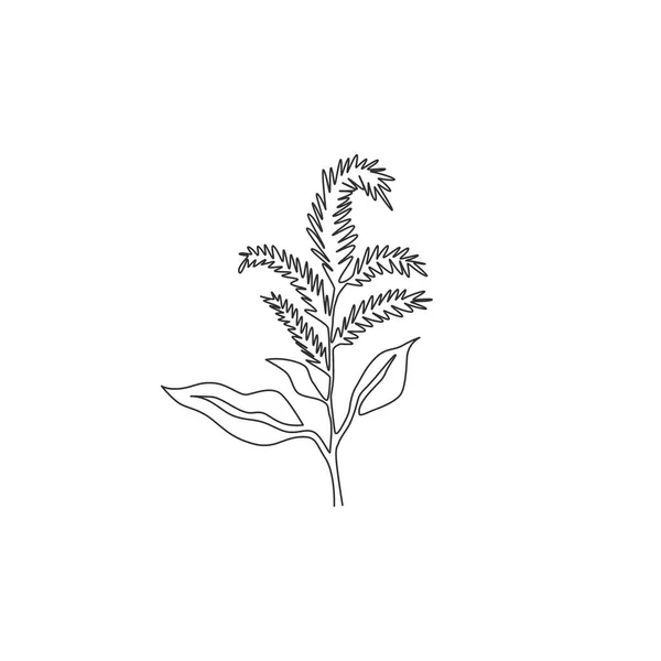Dessin Unique Une Ligne Amarante Fraîche Beauté Pour Logo Jardin — Image vectorielle