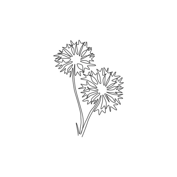 Ενιαία Γραμμή Σχέδιο Της Ομορφιάς Φρέσκο Centaurea Cyanusfor Λογότυπο Του — Διανυσματικό Αρχείο