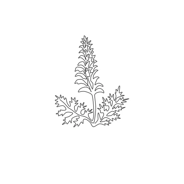 庭のロゴのための美しさ新鮮なクマのブリーチのシングル連続線画 花の招待状カードフレームのための装飾的なアカンサスの花のコンセプト モダンな1行の図面ベクトルのイラスト — ストックベクタ