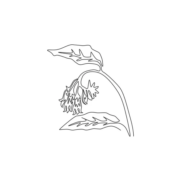 Una Sola Línea Dibujo Belleza Symphytum Fresco Para Logotipo Del — Vector de stock