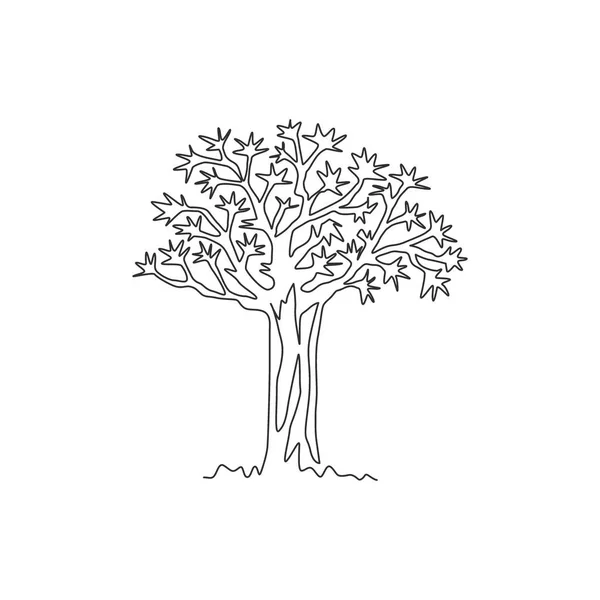 Singolo Disegno Una Linea Foresta Albero Faretra Kokerboom Decorativo Woud — Vettoriale Stock