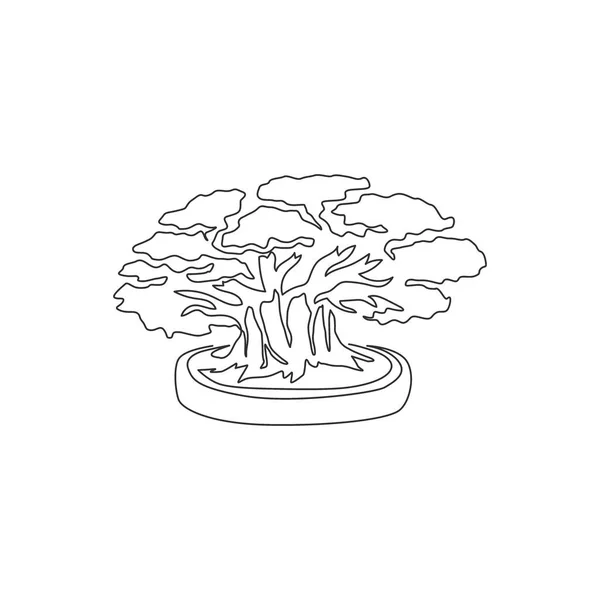 Disegno Linea Continua Bellezza Fresco Albero Bonsai Cinese Concetto Decorativo — Vettoriale Stock