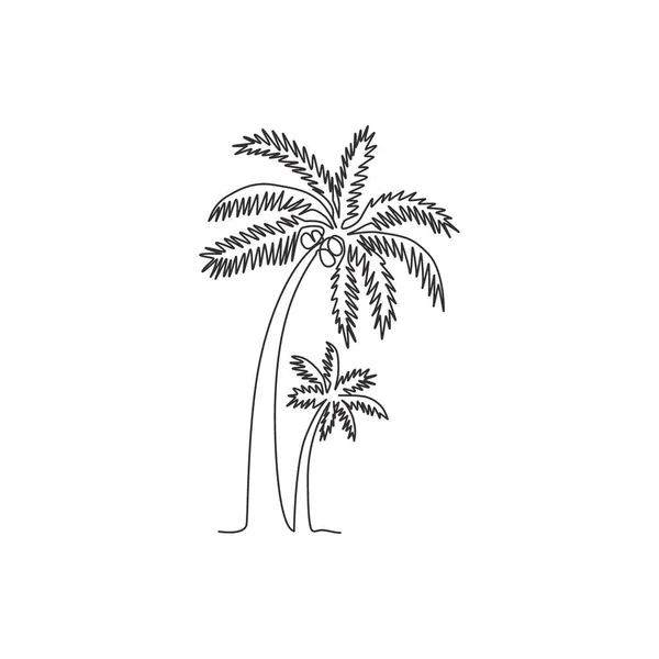 Single One Line Drawing Coconut Tree Decorative Cocos Nucifera Beach — Stock Vector