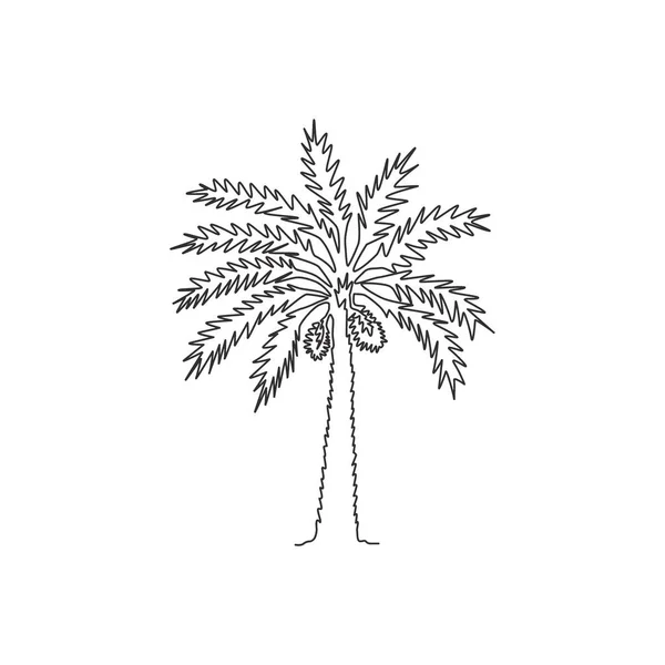 单行画美丽与异国情调的椰枣树 人工林公司装饰凤仙花树的概念 现代连续线条绘图设计图形矢量插图 — 图库矢量图片