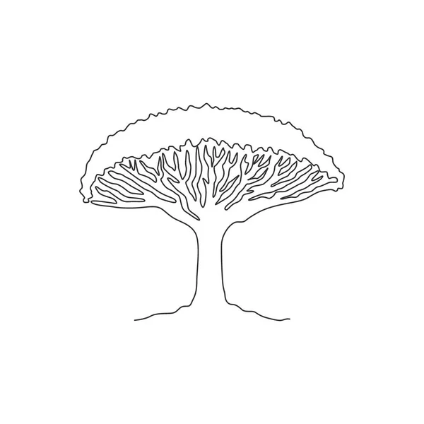 One Continuous Line Drawing Beauty Exotic Dragon Blood Tree Home — стоковый вектор