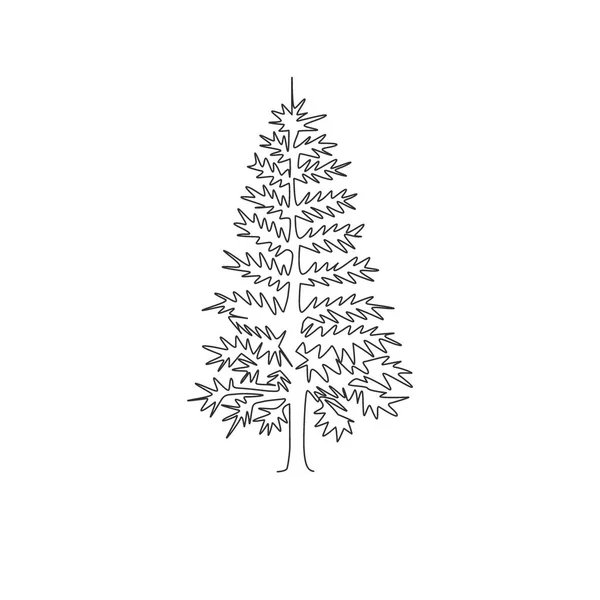 Dibujo Línea Única Continua Belleza Pino Exótico Pinus Decorativo Para — Vector de stock