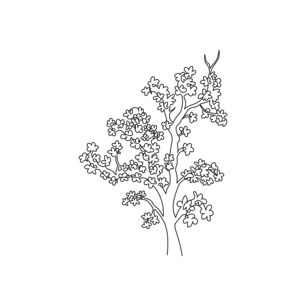 Una Sola Línea Continua Dibujo Belleza Japón Sakura Árbol Planta — Vector de stock