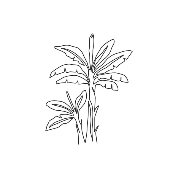 Una Línea Continua Dibujo Belleza Plátano Fresco Planta Bananera Decorativa — Vector de stock