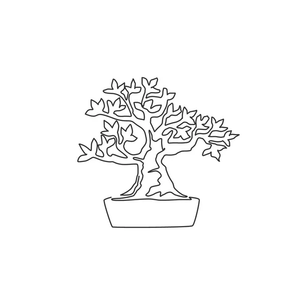 Kontinuerlig Linje Teckning Skönhet Och Exotiska Mini Bonsai Träd För — Stock vektor