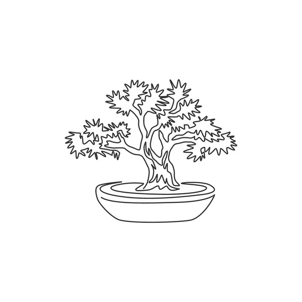 Einzelne Kontinuierliche Linienzeichnung Von Schönheit Und Alten Exotischen Bonsai Baum — Stockvektor