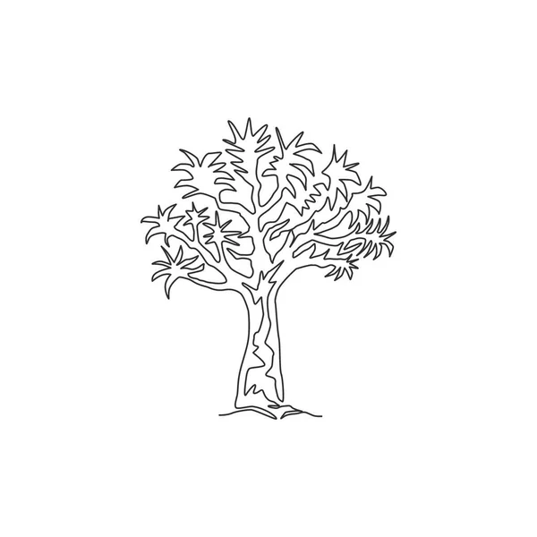 Single continuous line drawing of quiver tree forest. Decorative aloidendron dichotomum tree for national park. Tourist and travel vacation concept. Modern one line draw design vector illustration — Stock Illustration Single Continuous Line Drawing Quiver Tree Forest Decorative Aloidendron Dichotomum Stock Illustration