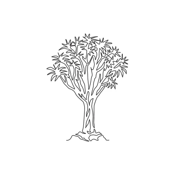 One continuous line drawing of quiver tree forest. Decorative kokerboom woud tree for national park logo. Tour and travel vacation concept. Trendy single line draw design vector graphic illustration — Stock Illustration One Continuous Line Drawing Quiver Tree Forest Decorative Kokerboom Woud Royalty Free Stock Illustrations