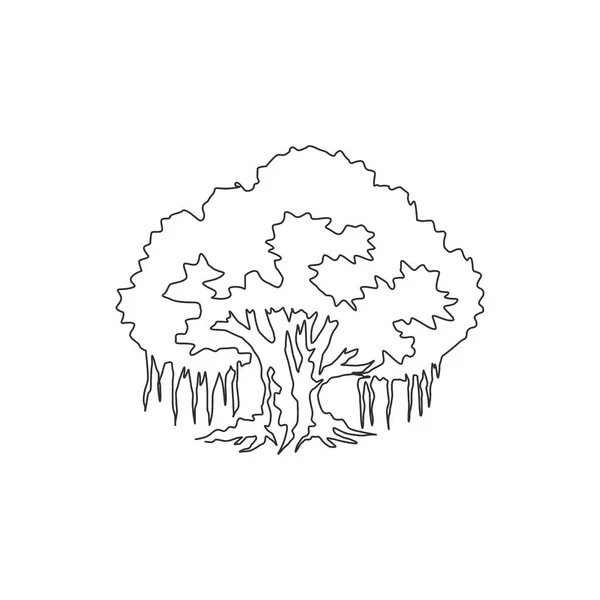 Featured image of post Banyan Tree Picture Drawing - Download banyan tree images and photos.
