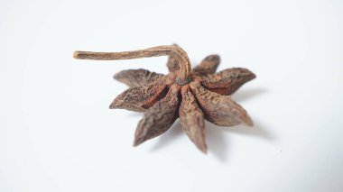 Kahverengi kuru anason yıldızı beyaz arka plan üzerinde izole