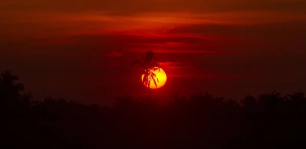 Beau Coucher Soleil Lumineux Sur Forêt Tropicale — Photo