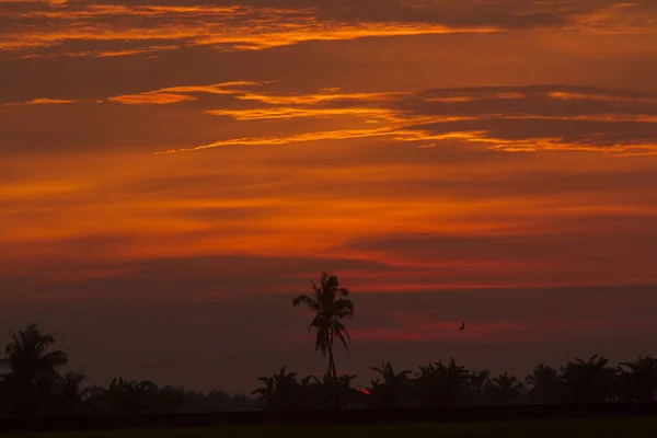 Bel Tramonto Luminoso Sulla Foresta Tropicale — Foto Stock