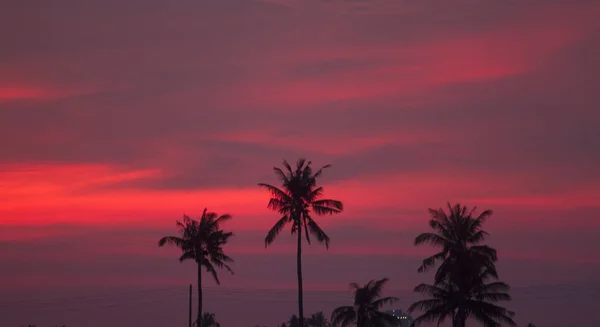 Bel Tramonto Luminoso Sulla Foresta Tropicale — Foto Stock