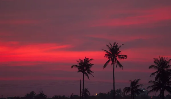 Schöner Heller Sonnenuntergang Über Tropischem Wald — Stockfoto