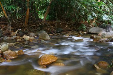 tropikal ormanlar arasında hızlı nehrin uzun pozlama