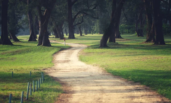 Park sokakta boş toprak yol