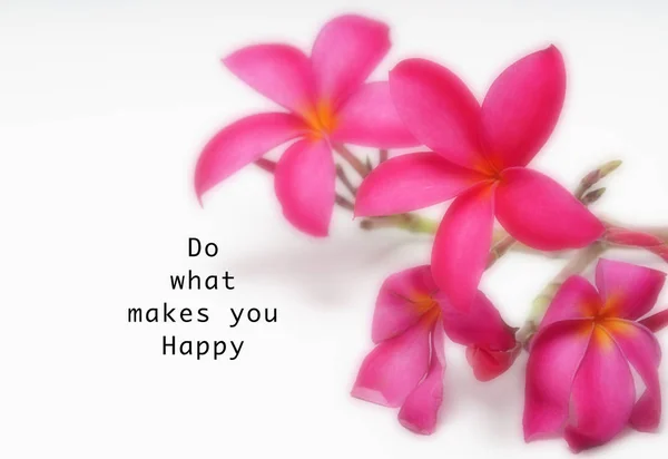 Citações Motivacionais Faça Que Faz Feliz Flores Cor Rosa Borradas — Fotografia de Stock