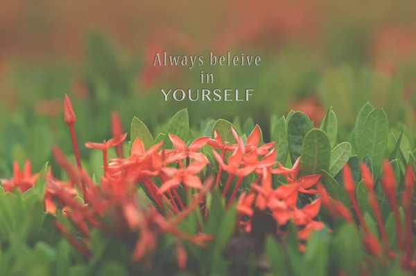 Inspirational Quote Blurred Red Flowers Background Vintage Filter Always Believe — Stock Photo, Image