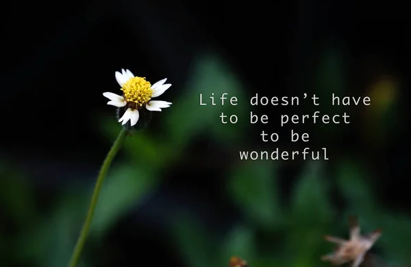 Life quote. Motivation quote on soft background. Single white flower over dark background. Life does not have to be perfect to be wonderful