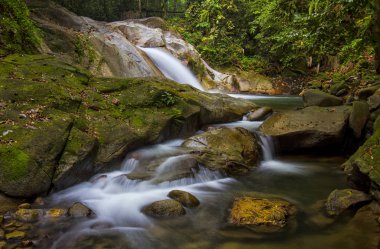 Yeşil bahar ormanında şelalenin manzara manzarası